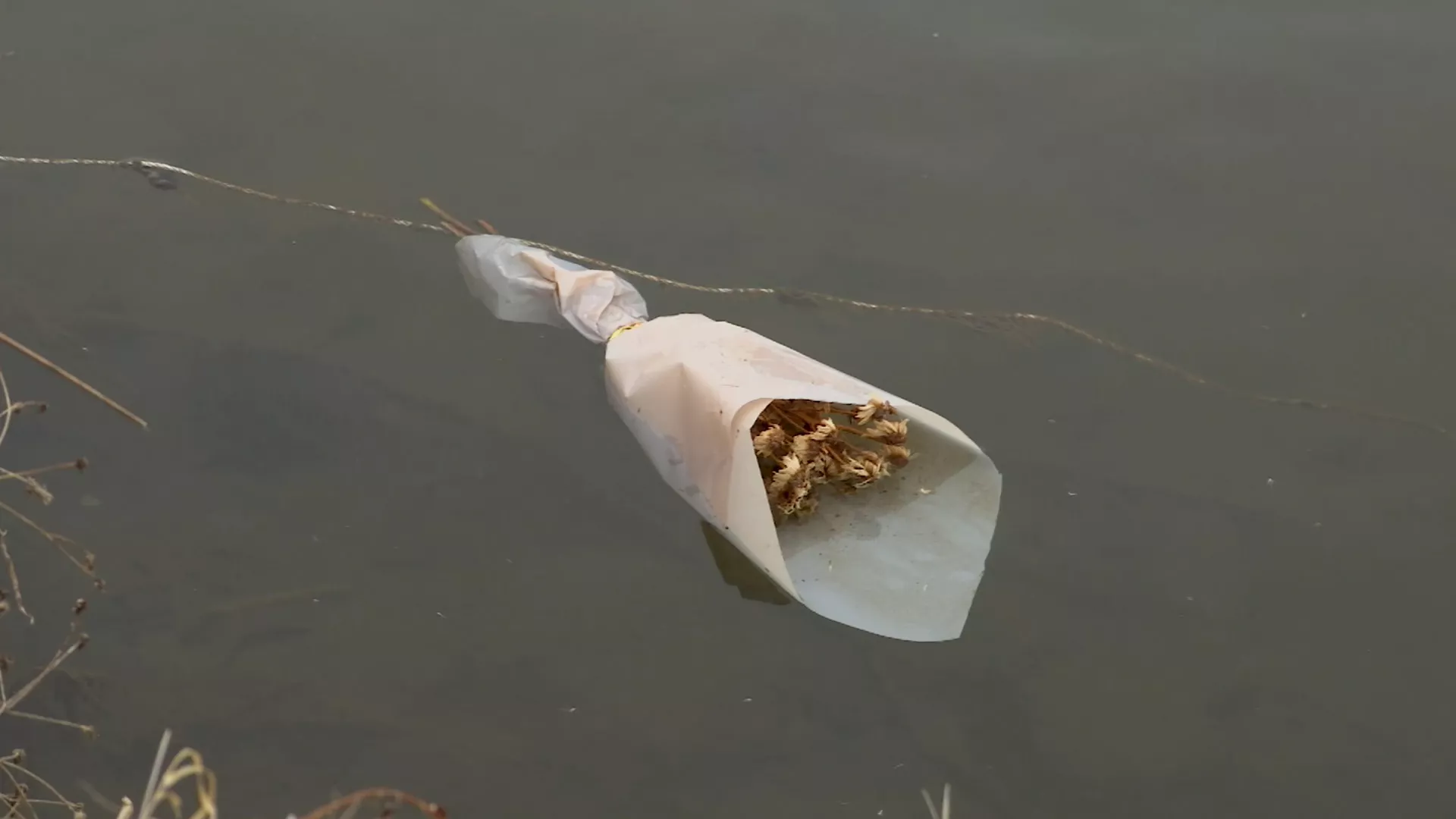 Kulturni centar, 4. mart 2026.