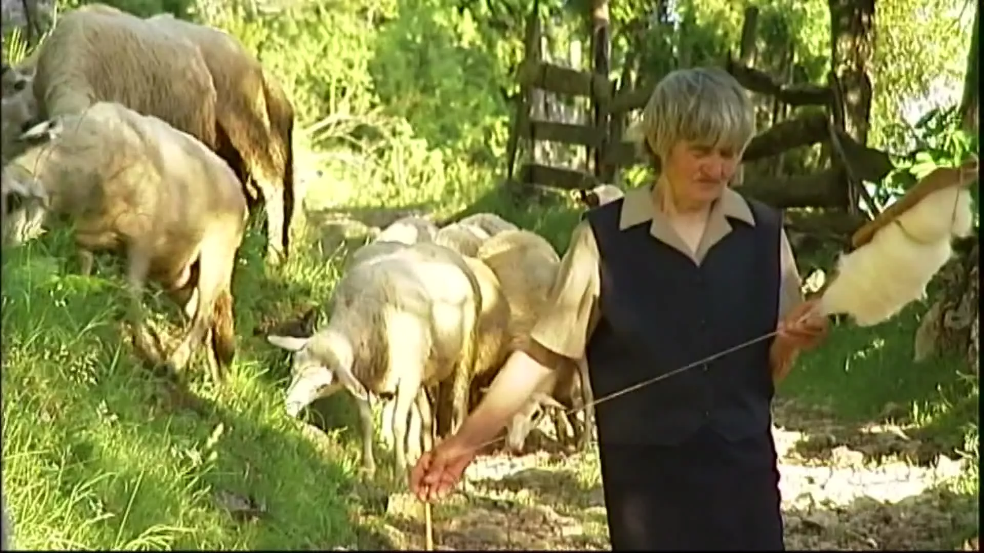 Kvadratura kruga: Jedna je majka