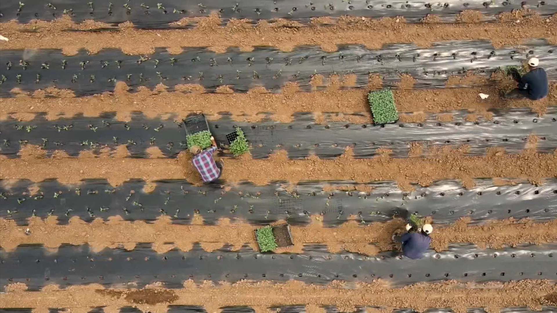 Naučni portal, 176. emisija