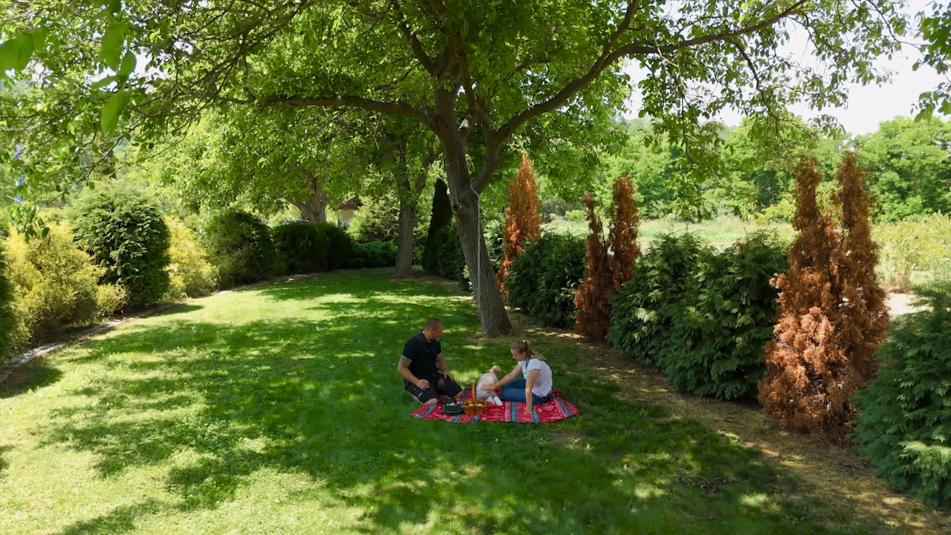 Novi početak: Pirot (5. ciklus) (4. emisija)