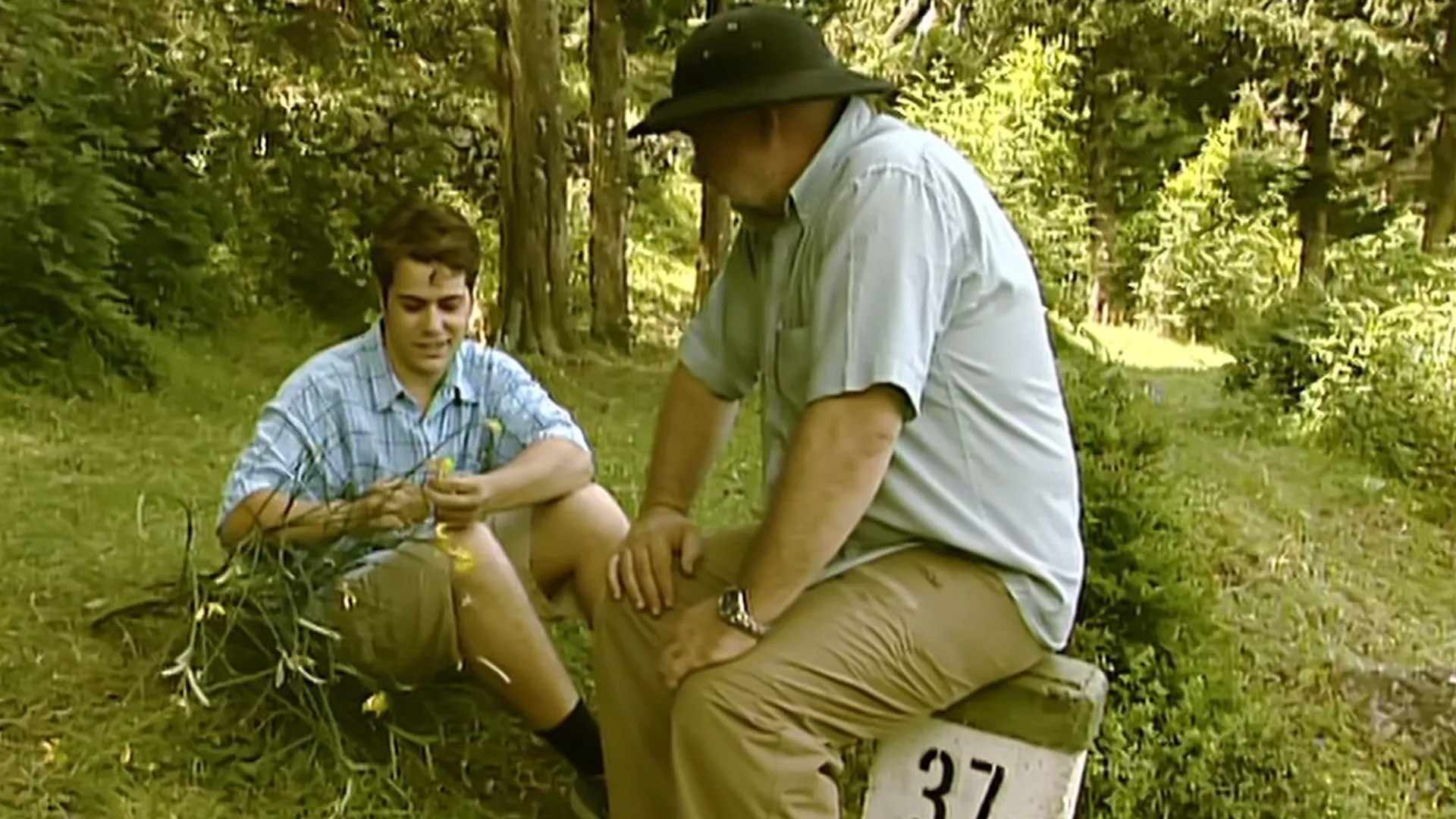 Romansirana botanika: Priča o vrtu – preporod