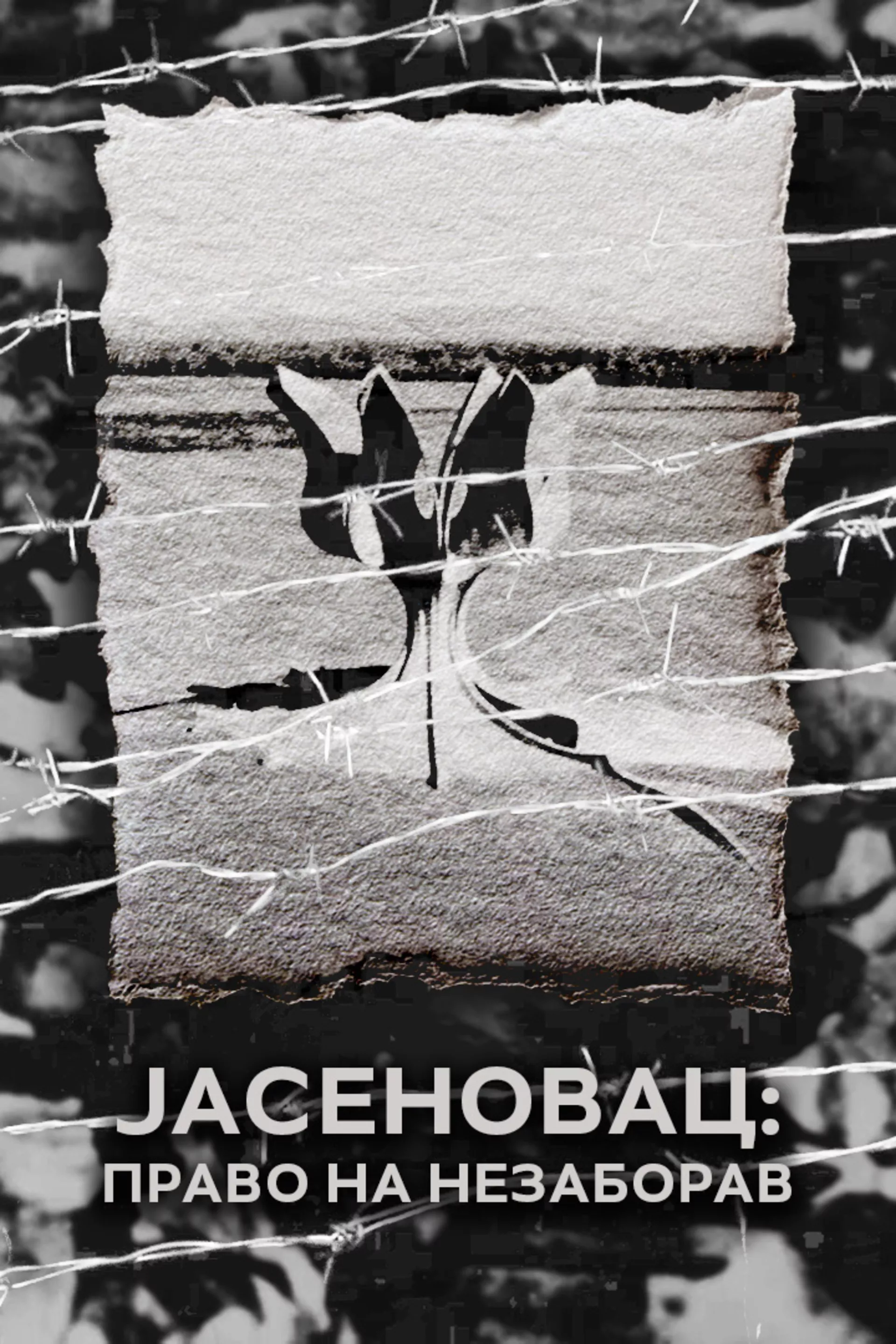 Jasenovac: Pravo na nezaborav