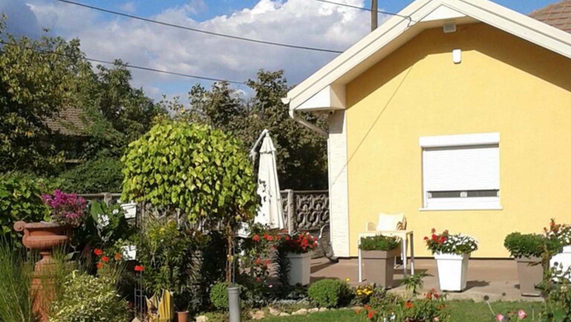 Nedeljom za selo – PKB