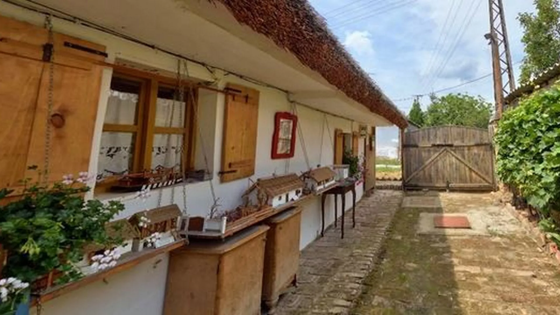 Kojekuda – Sremski Karlovci