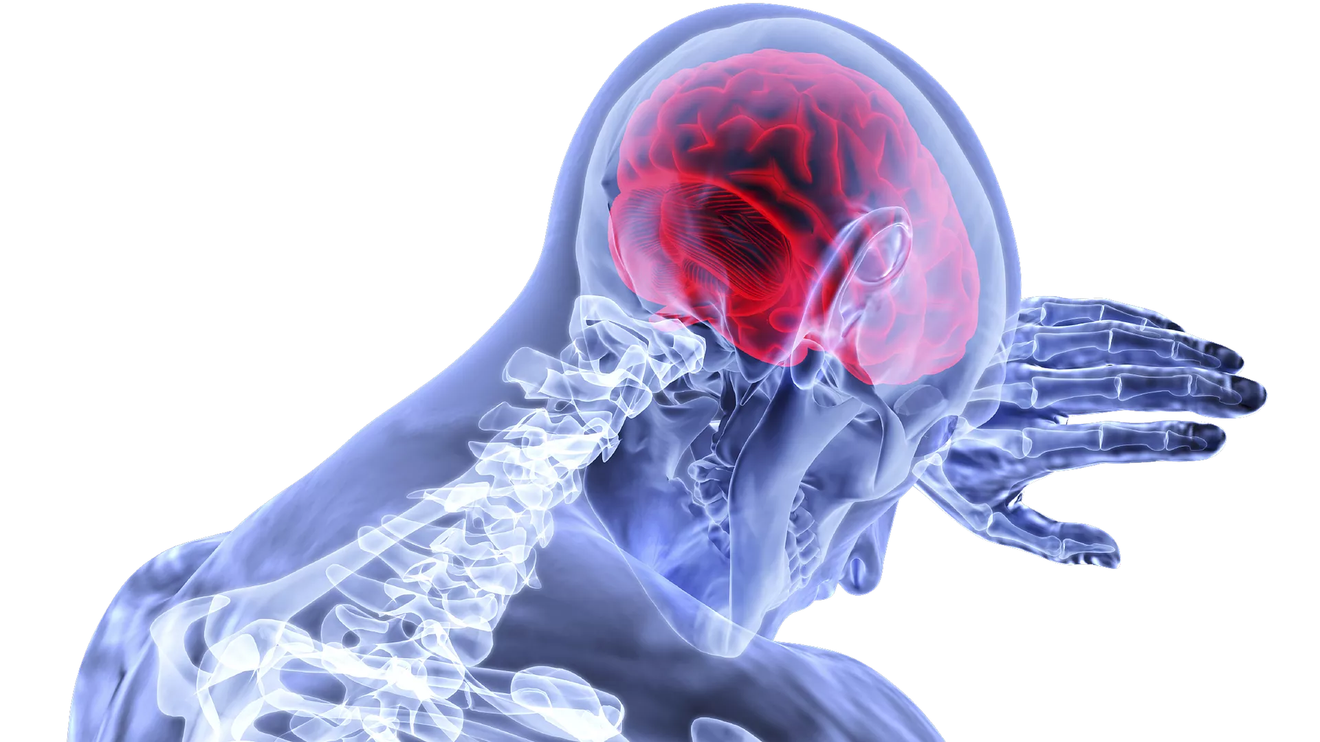 Hipokratija – Neurohirurgija u Srbiji
