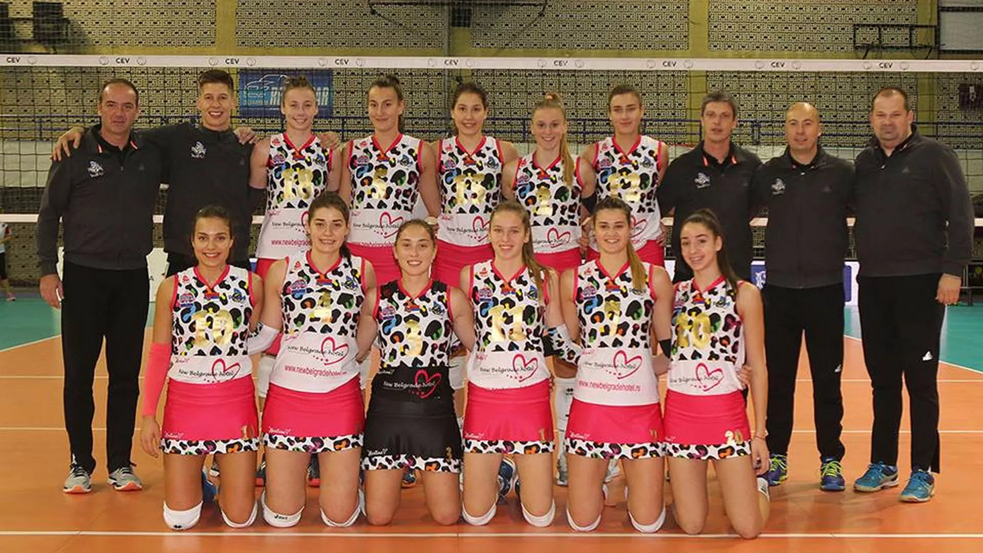 Vreme sporta i razonode – OK Vizura