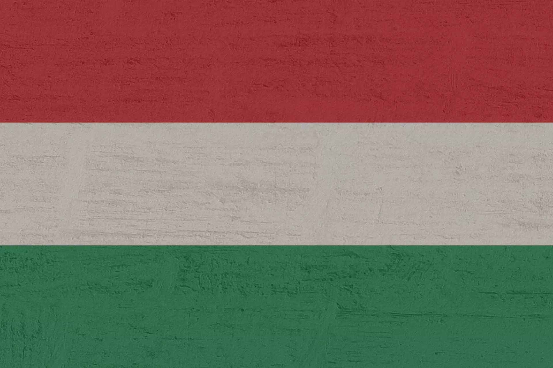 Nevidljivi ljudi -  Javni servis mađarske nacionalne manjine…