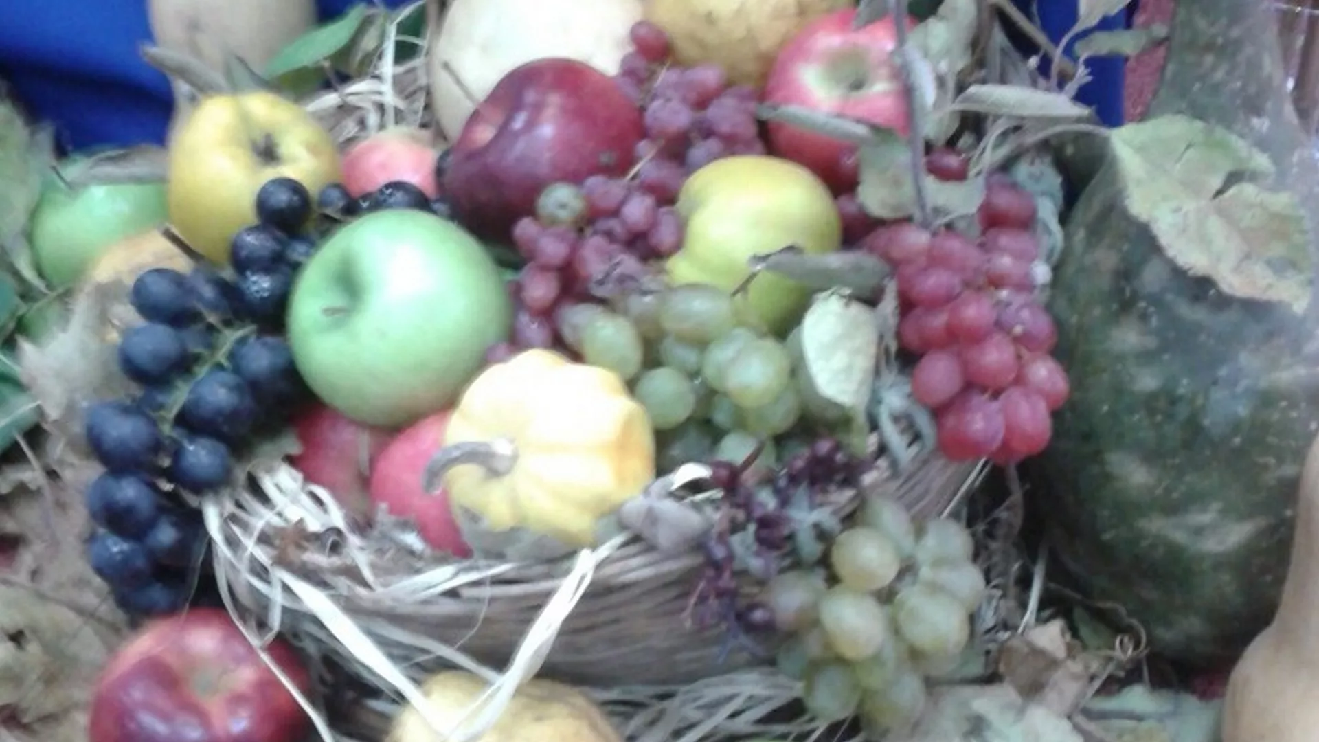 Nedeljom za selo – Voćarstvo i vinogradarstvo