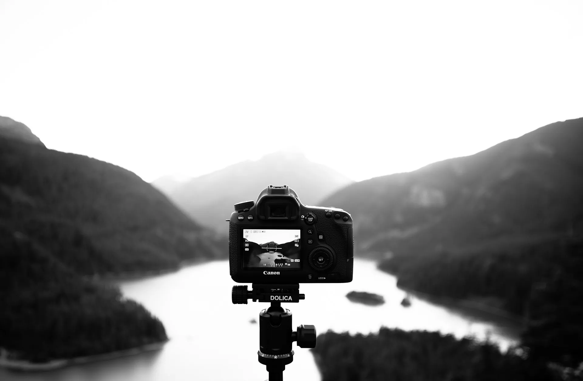 Dionis – foto-reporter Dragan Bosnić