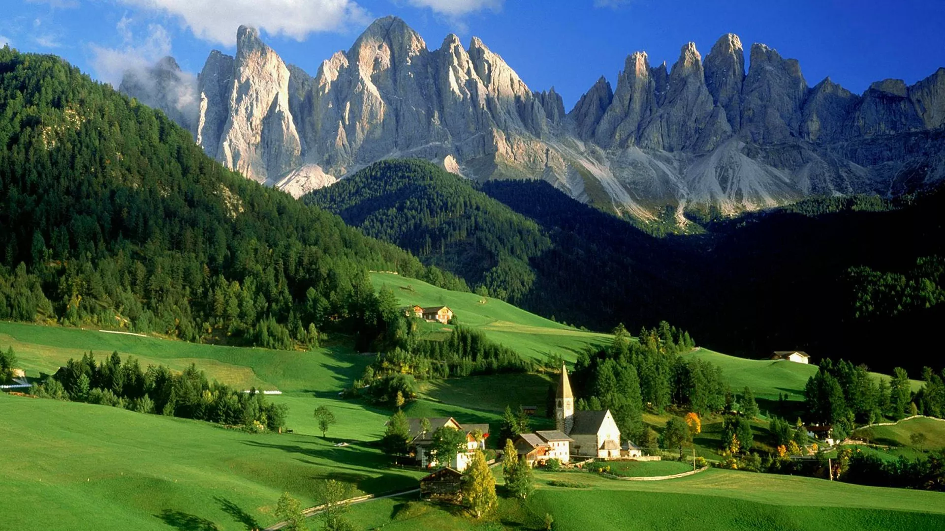 Put svile – ABRUCO