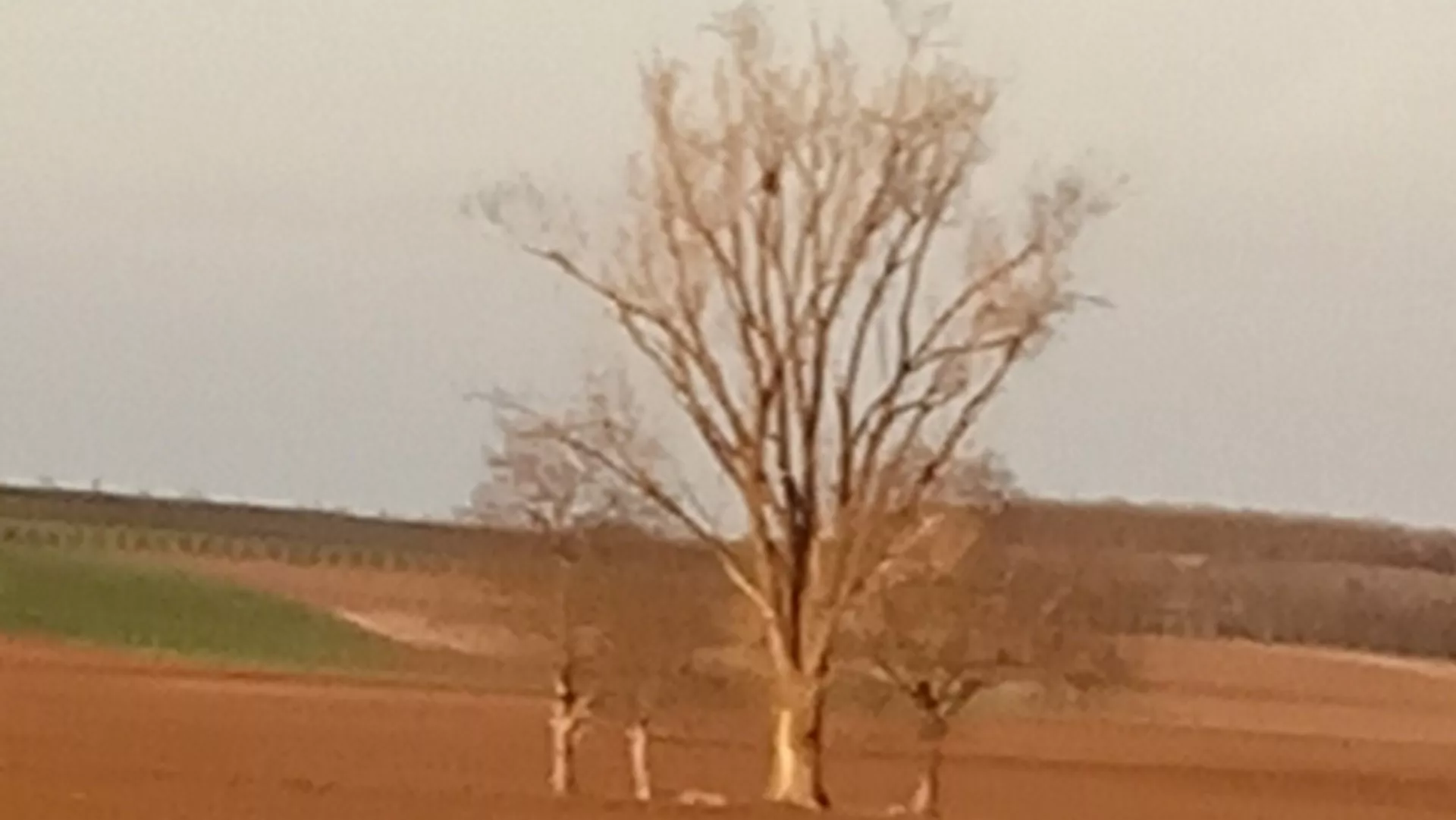 Nedeljom za selo – Jabuke
