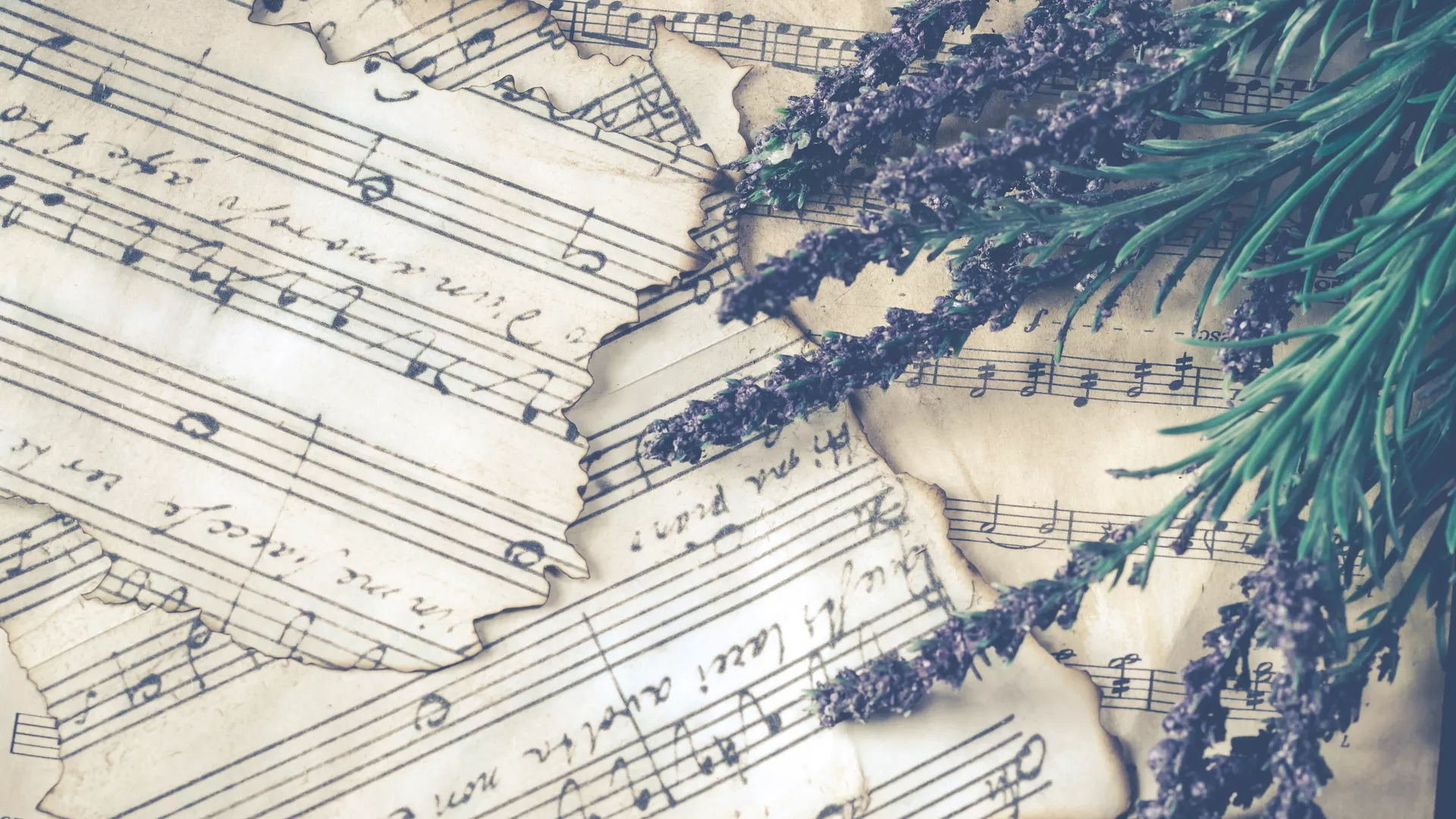 Kako slušati muziku – Kako vi slušate muziku?