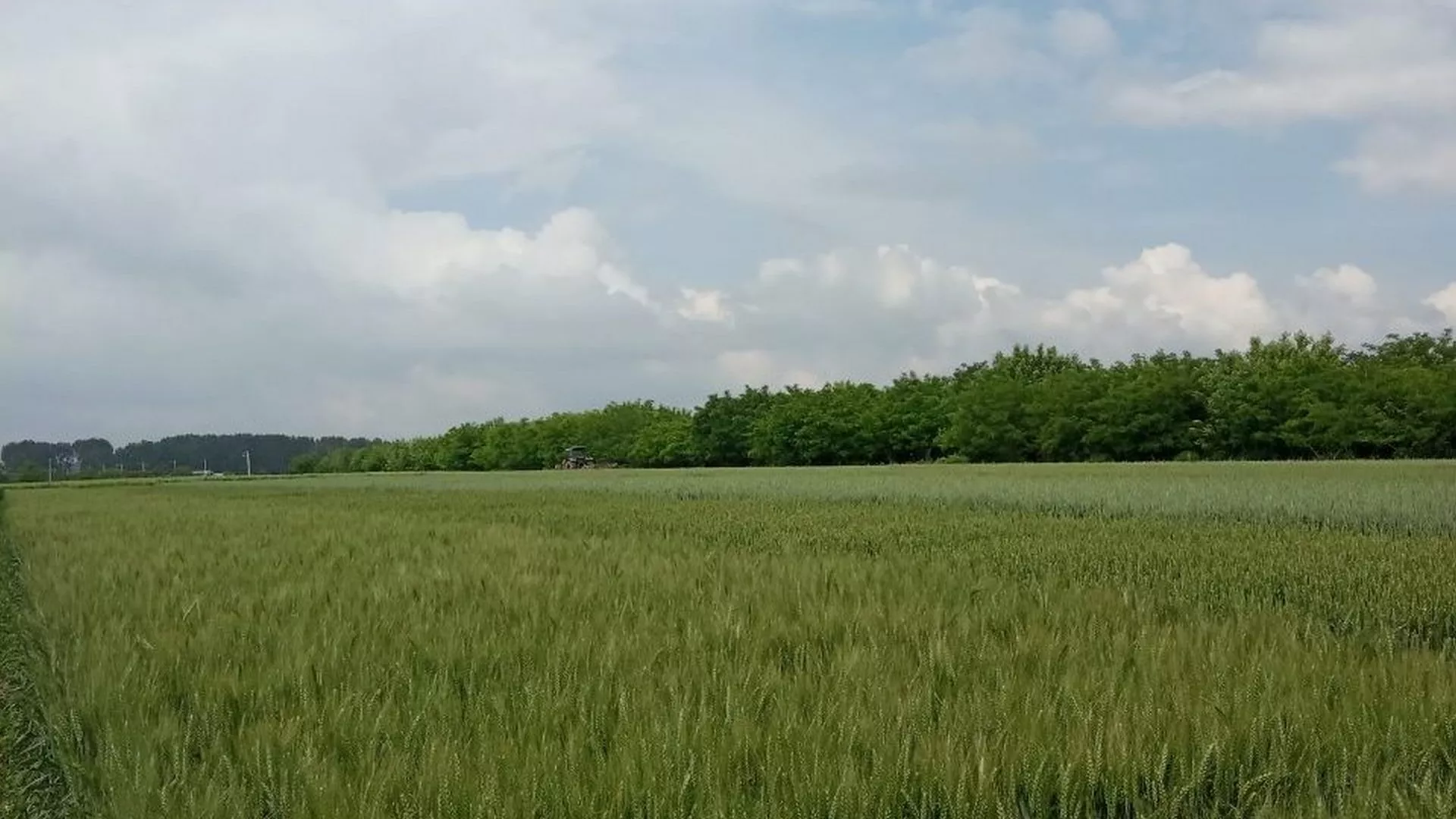 Nedeljom za selo – poplave u Srbiji