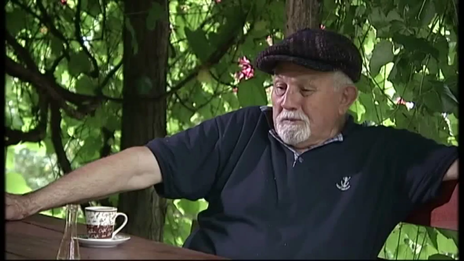 Priča o pripovedaču