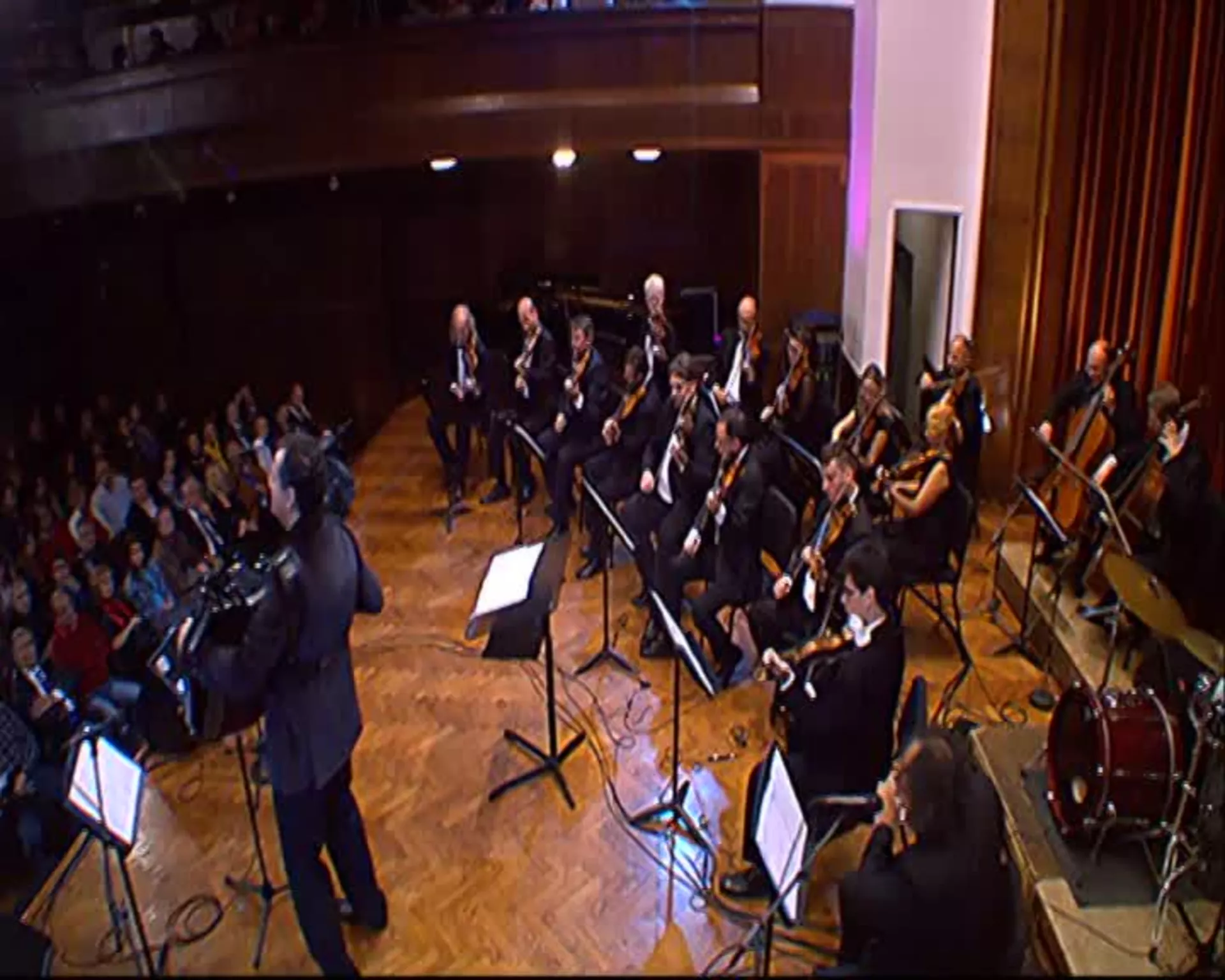 Solistički koncert Ljubiše Pavkovića, 2. deo