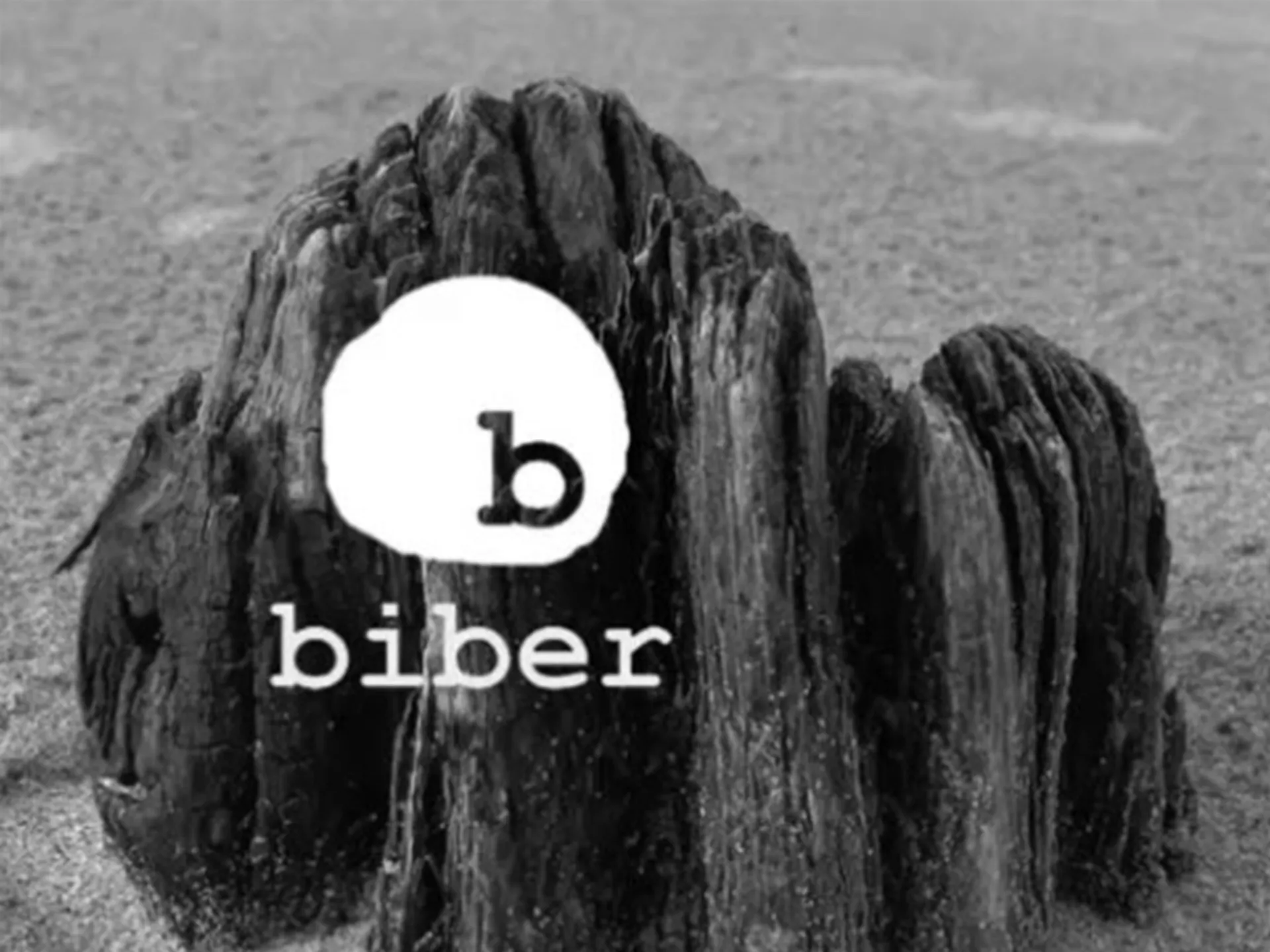 Biber i prijatelji