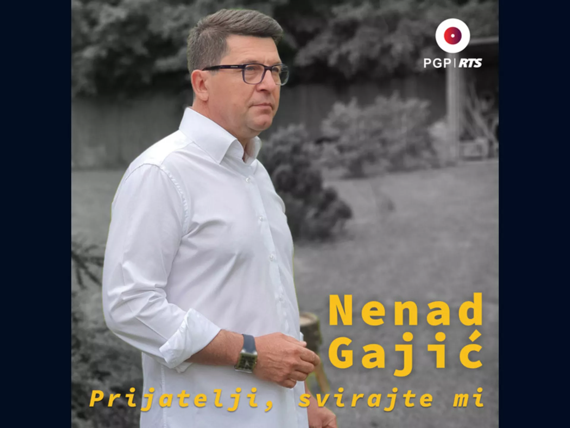 Nenad Gajić