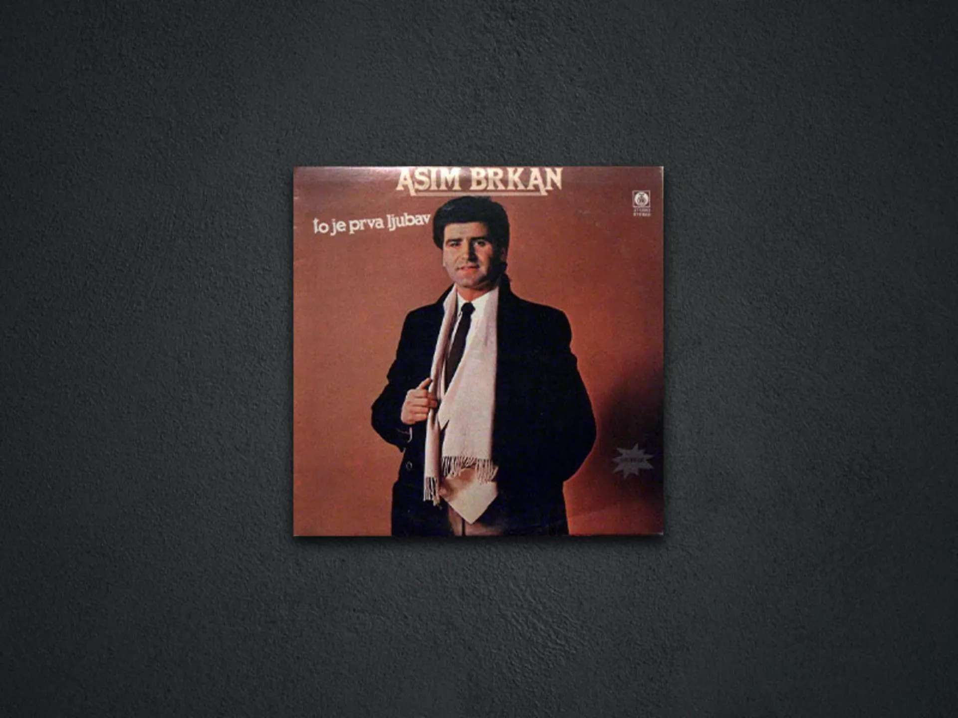 Asim Brkan