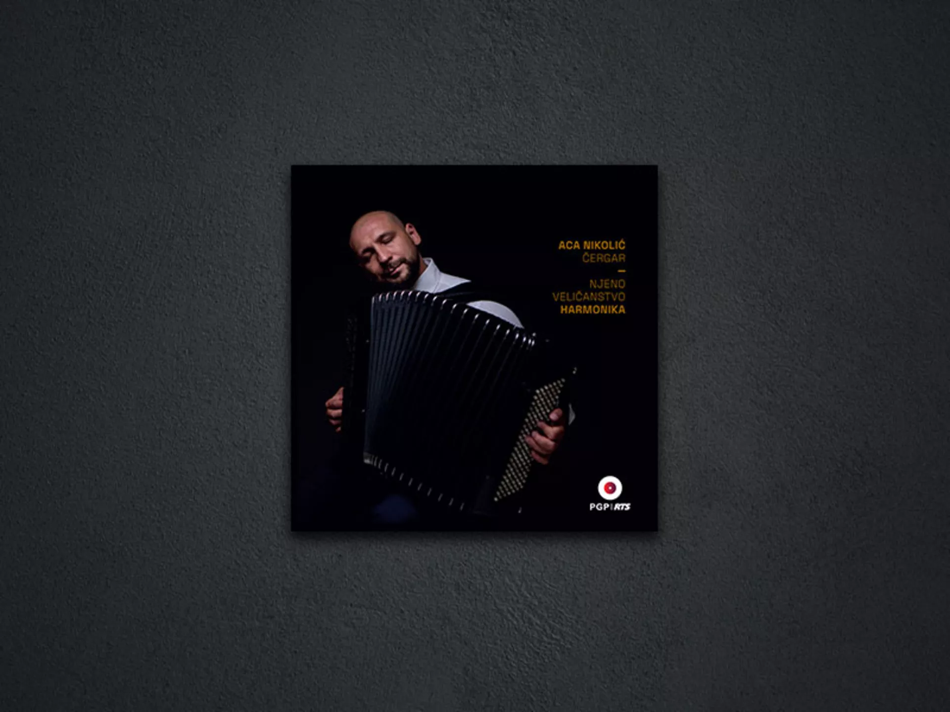 Aca Nikolić Čergar