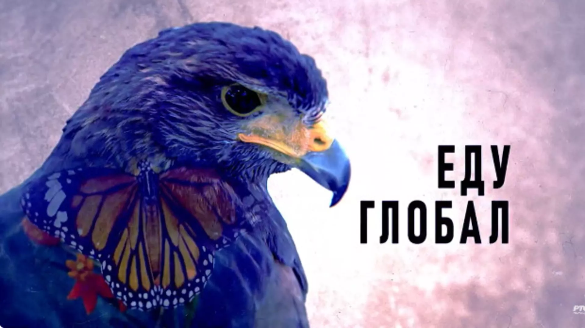 Еду глобал, 290. еп. (R)