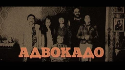 Адвокадо, 16-20