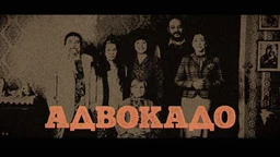Адвокадо, 17-20