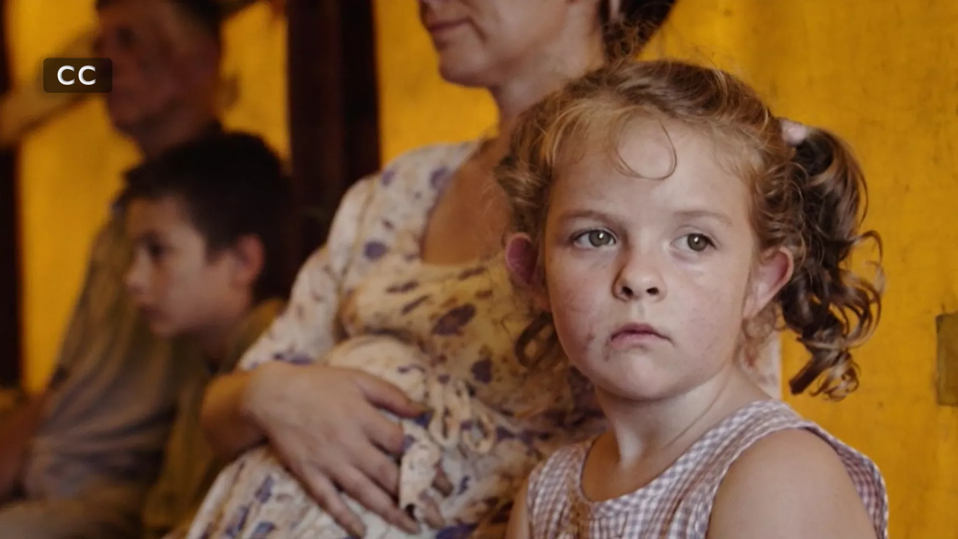 Петровачка цеста, документарни филм