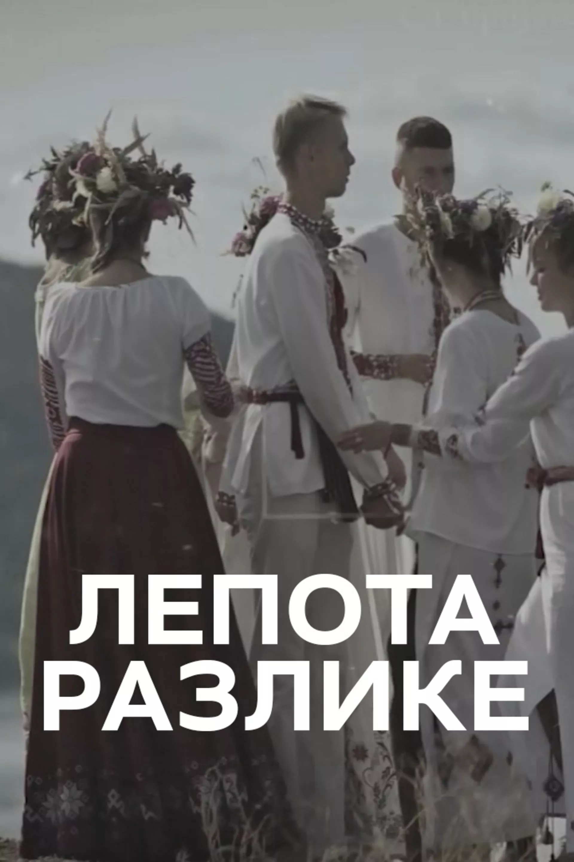 Лепота различитости