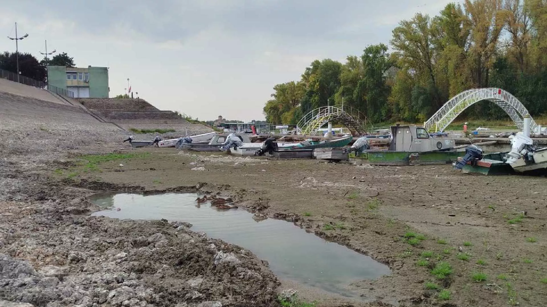 У ритму дана - водостај Дунава