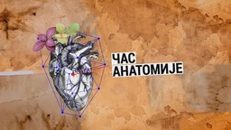 Час анатомије: Култура није лепа