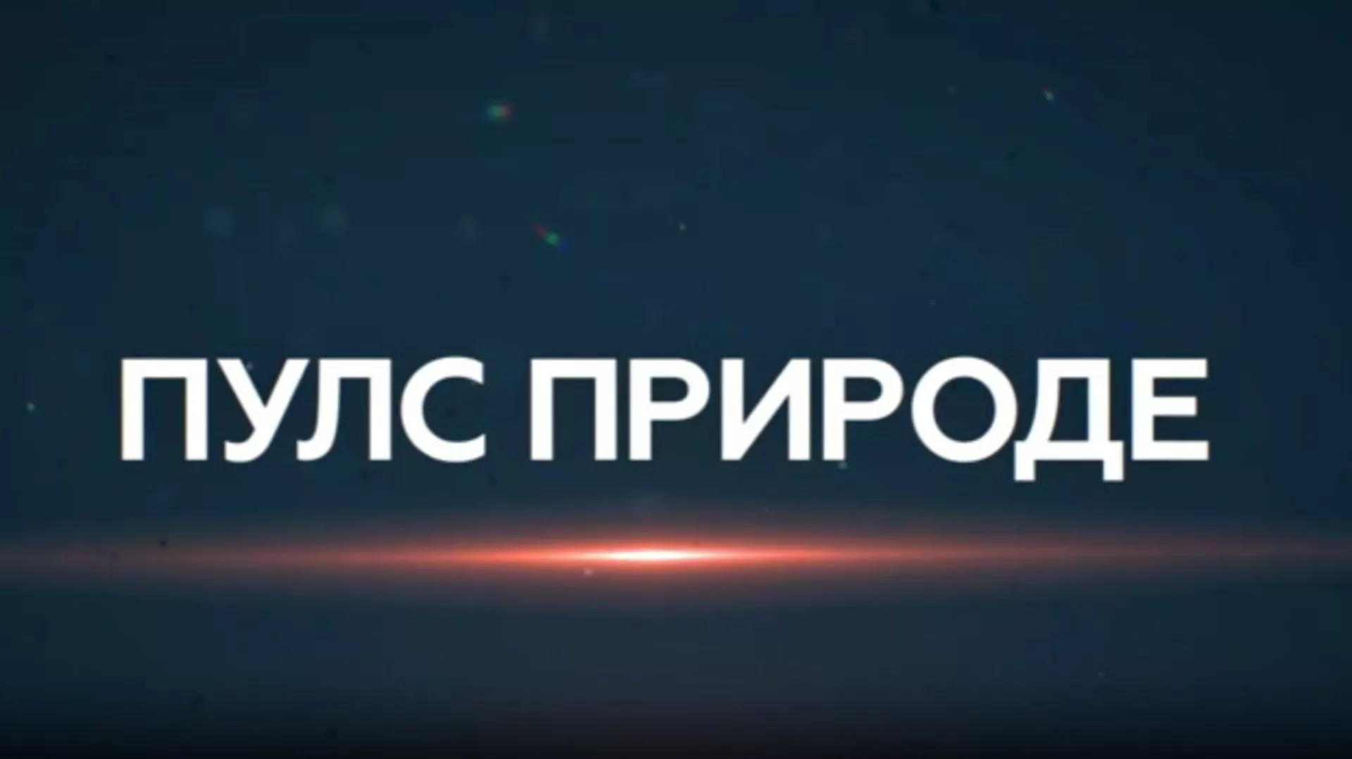 Пулс природе: Аранђеловац