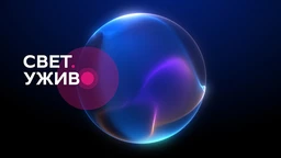 Свет. Уживо: Свет. Уживо