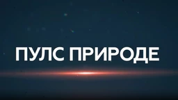 Пулс природе: Аранђеловац
