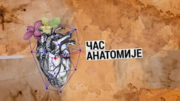 Час анатомије: Нови варваризам (R)
