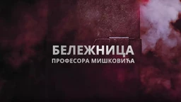 Beležnica profesora Miškovića, 1-12