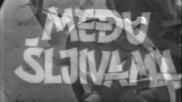 Među šljivama