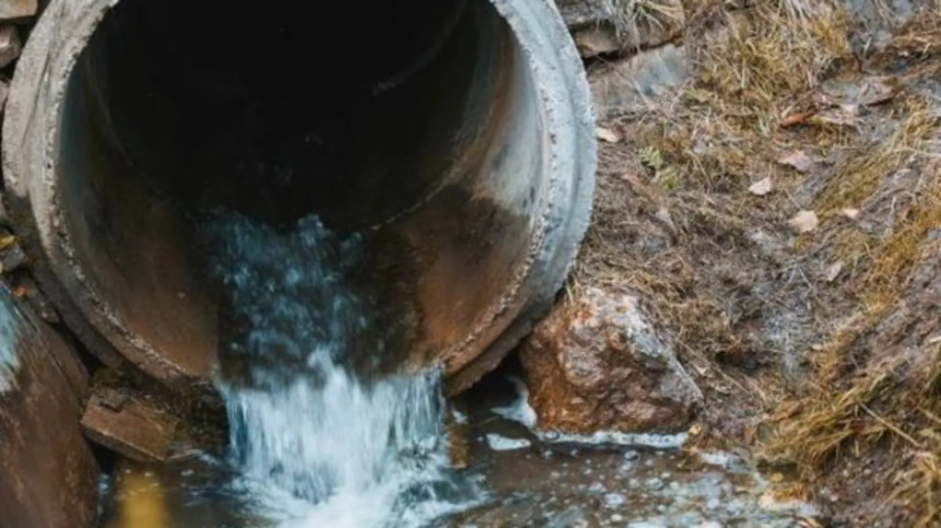 На три воде: Јутарњи програм из три студија