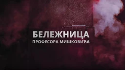 Бележница професора Мишковића, 9-12