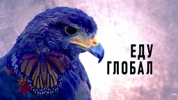 Еду глобал, 304. еп. (R)