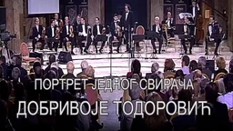Портрет једног свирача
