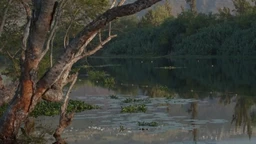Вода за све  (R)