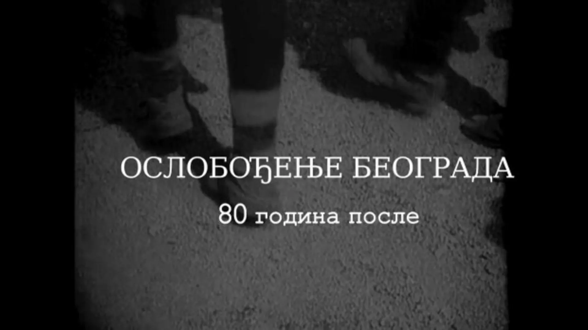 Ослобођење Београда - 80 година после: Казна, репресија и отпори, , 3-4