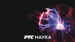 Екологизација: Инсекти (R)