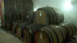 Govori da bih te video: Krompiri na žaru