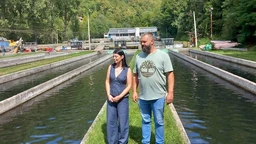 Знање имање: Ко зна тај има