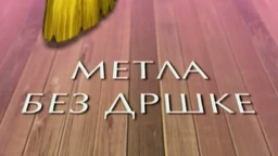 Метла без дршке  (R)