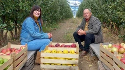 Знање имање: Изазови производње