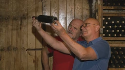 Grozd: Jesen u vinogradima