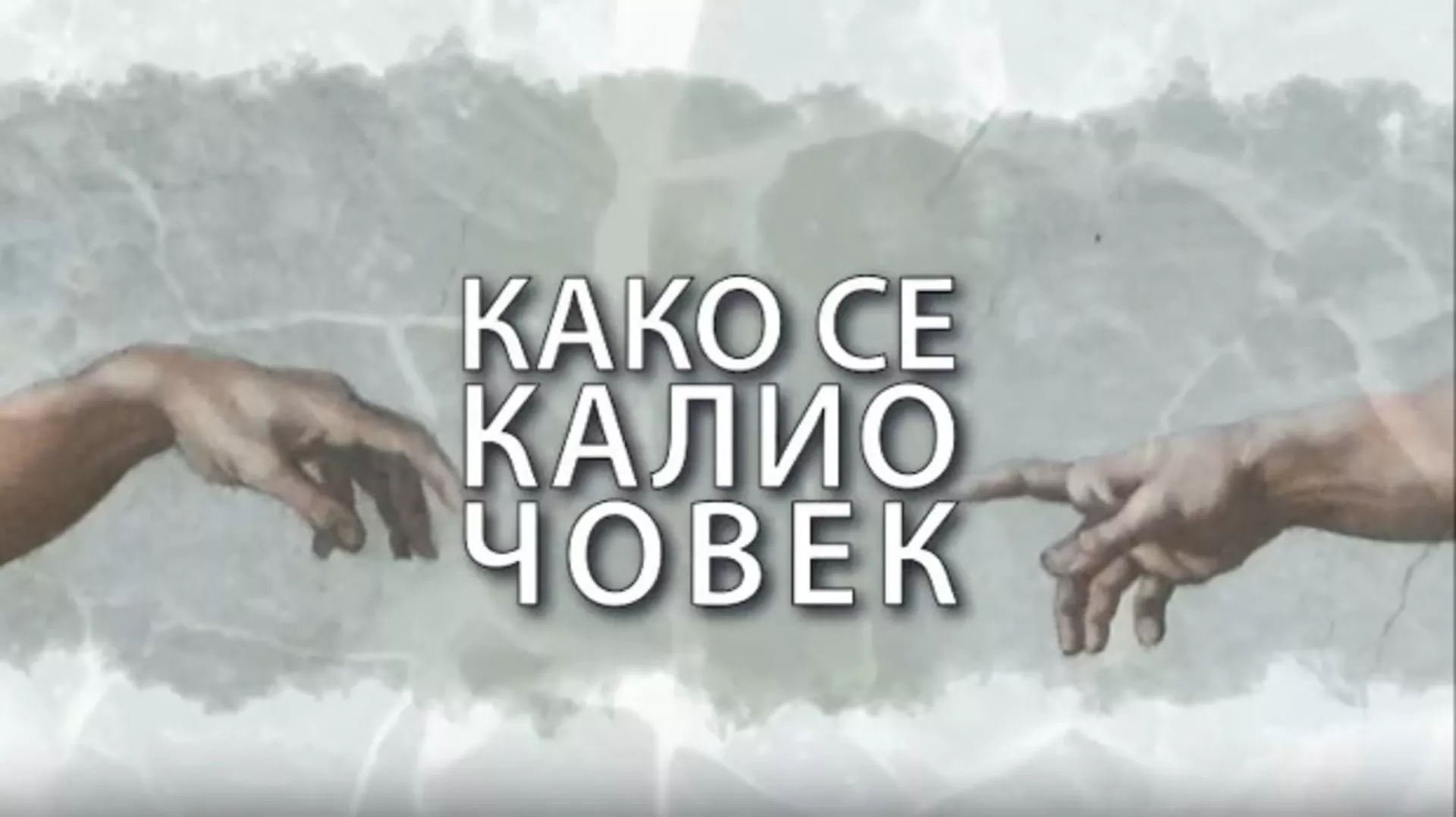 Како се калио човек: Зорана Аруновић (R)
