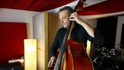 36. Београдски џез фестивал: Ненад Василић, Bass & Strings (R)